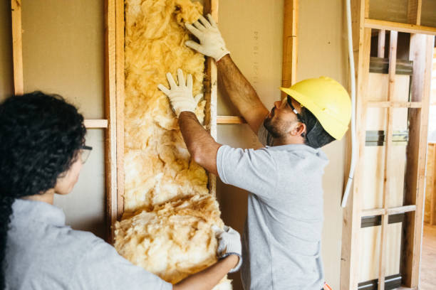 Insulation Repair Services in West Point, UT